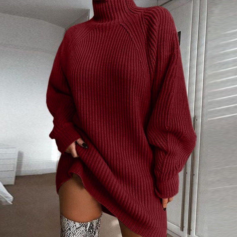 Winter Turtleneck Sweater Dress
