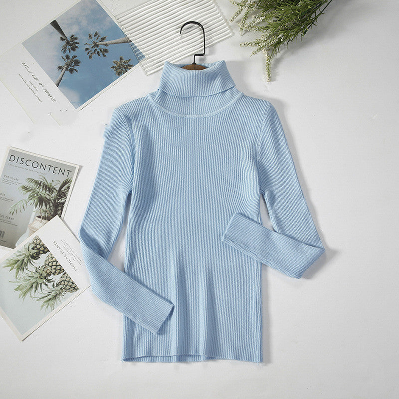 Solid Ribbed Turtleneck Sweater