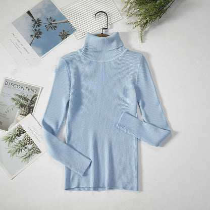 Solid Ribbed Turtleneck Sweater