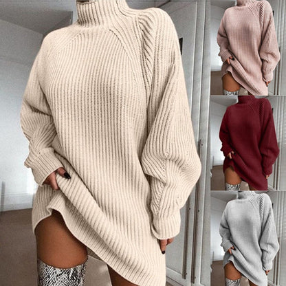 Winter Turtleneck Sweater Dress