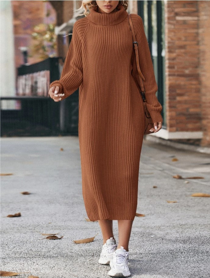 Turtleneck Knit Sweater Dress