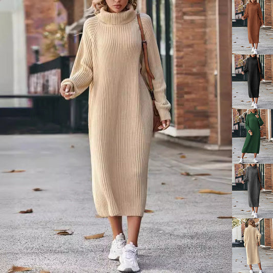 Turtleneck Knit Sweater Dress