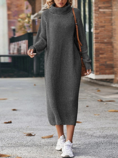 Turtleneck Knit Sweater Dress