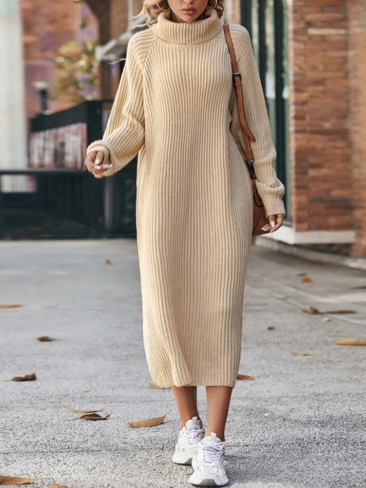 Turtleneck Knit Sweater Dress