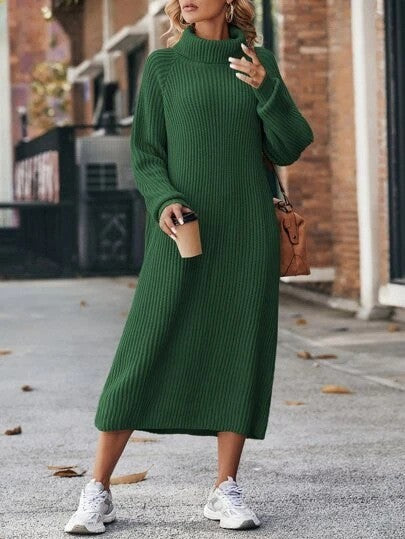 Turtleneck Knit Sweater Dress