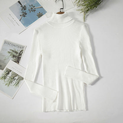 Solid Ribbed Turtleneck Sweater