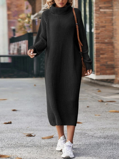 Turtleneck Knit Sweater Dress